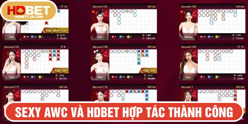 Quá trình hợp tác giữa hai thương hiệu đạt nhiều thành công