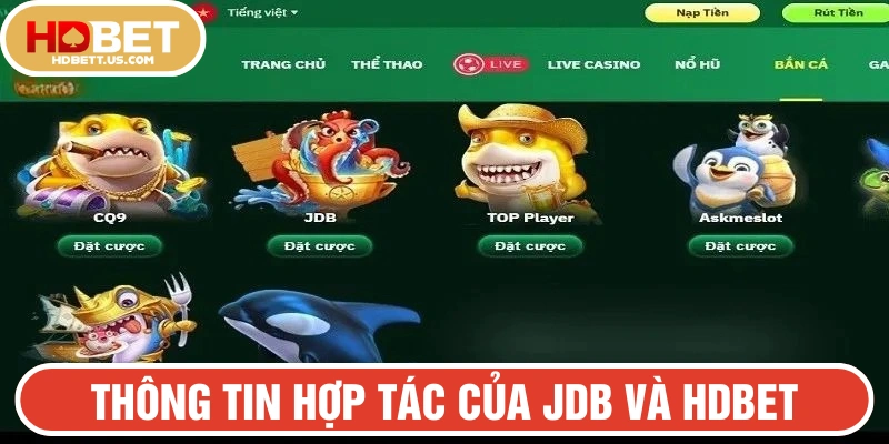 Thông tin hợp tác của JDB và HDBET